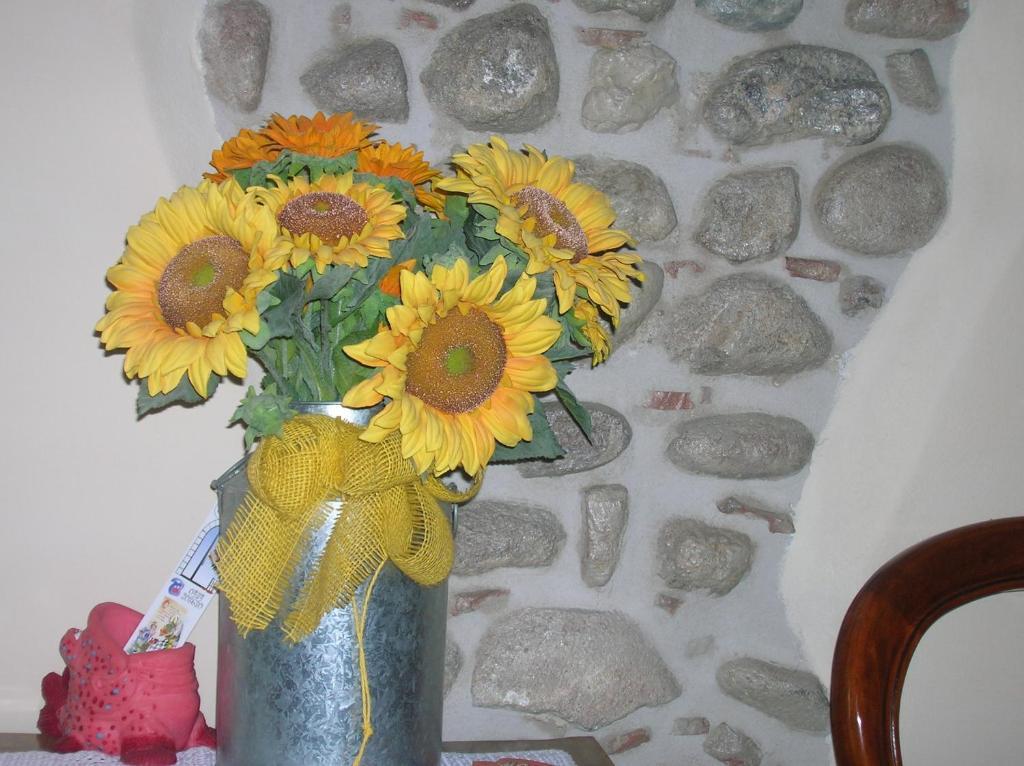 Agriturismo Colombarola ソーナ エクステリア 写真